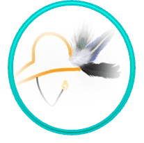 LiveLife 360° Coaching